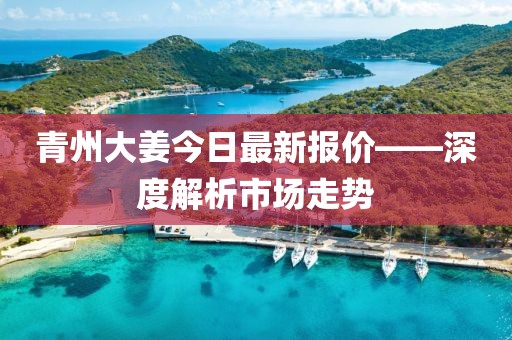 青州大姜今日最新報價——深度解析市場走勢