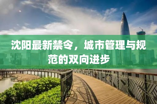 沈陽(yáng)最新禁令，城市管理與規(guī)范的雙向進(jìn)步