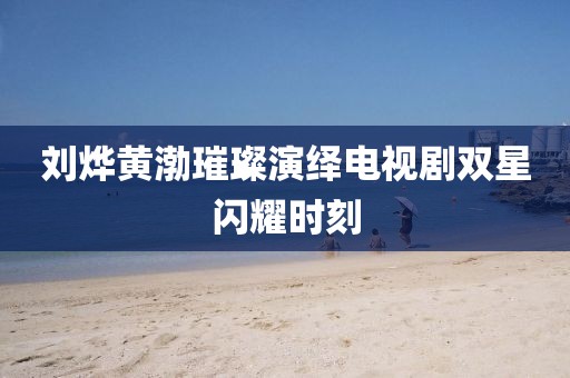 劉燁黃渤璀璨演繹電視劇雙星閃耀時刻