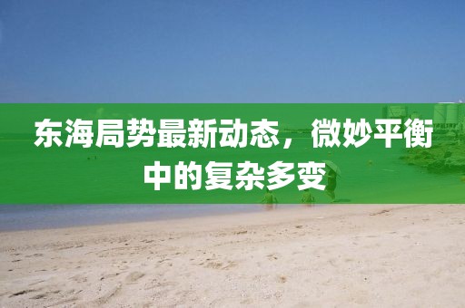 東海局勢最新動態(tài)，微妙平衡中的復(fù)雜多變