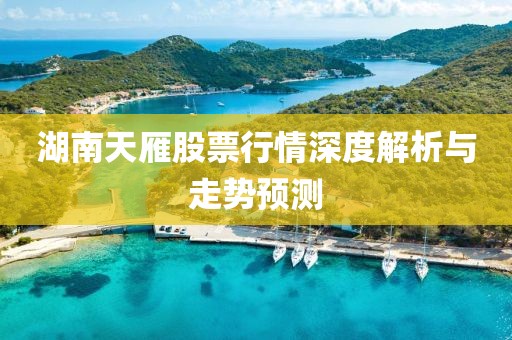 湖南天雁股票行情深度解析與走勢預(yù)測