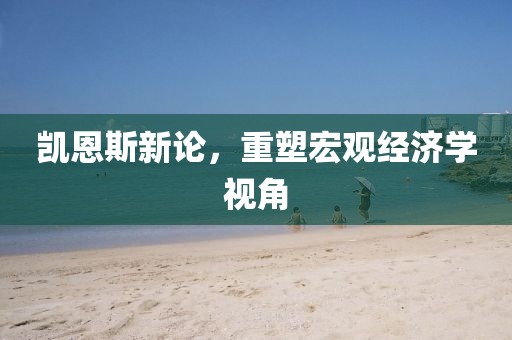 凱恩斯新論，重塑宏觀經(jīng)濟學(xué)視角