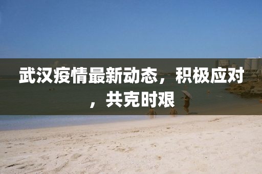 武漢疫情最新動(dòng)態(tài)，積極應(yīng)對(duì)，共克時(shí)艱