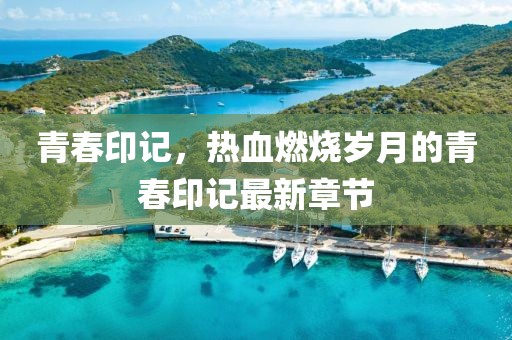 青春印記，熱血燃燒歲月的青春印記最新章節(jié)