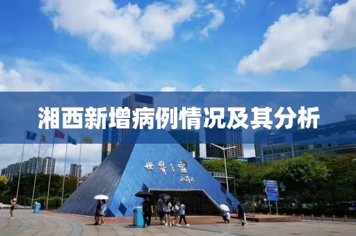 湘西新增病例情況及其分析