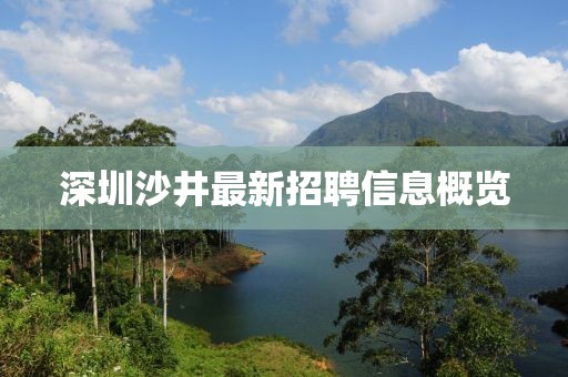 深圳沙井最新招聘信息概覽