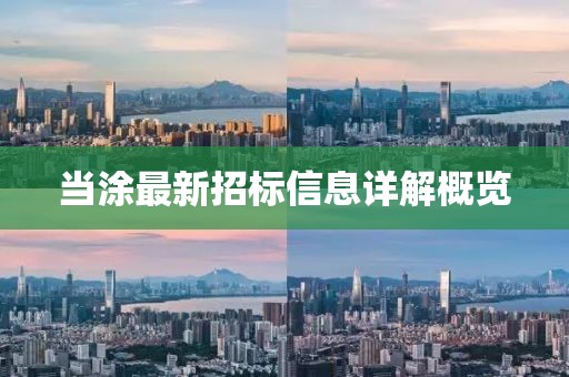 當(dāng)涂最新招標(biāo)信息詳解概覽