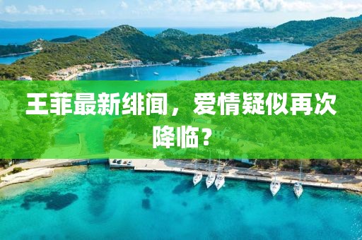王菲最新緋聞，愛(ài)情疑似再次降臨？