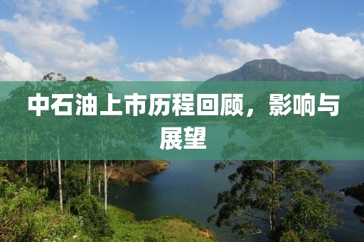 中石油上市歷程回顧，影響與展望