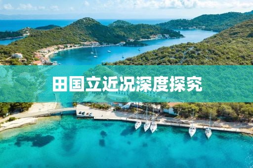 田國立近況深度探究
