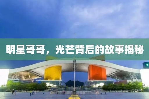 明星哥哥，光芒背后的故事揭秘