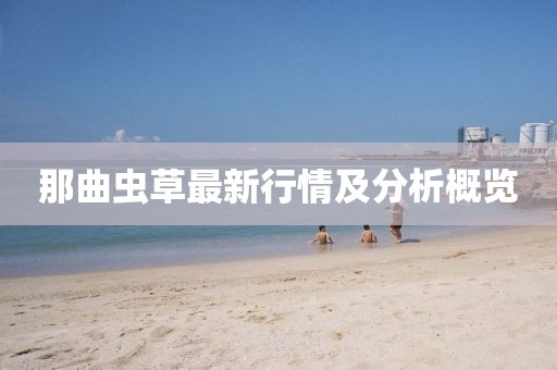 那曲蟲草最新行情及分析概覽