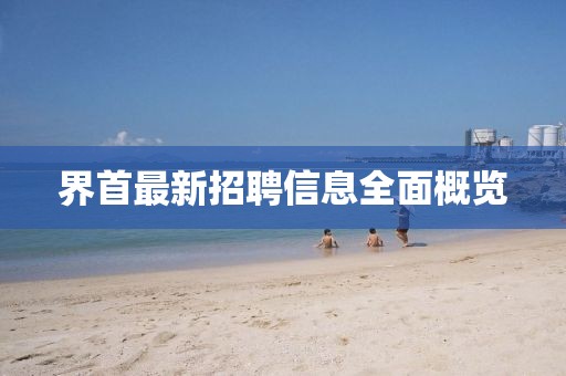 界首最新招聘信息全面概覽