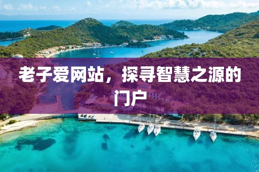 老子愛網(wǎng)站，探尋智慧之源的門戶