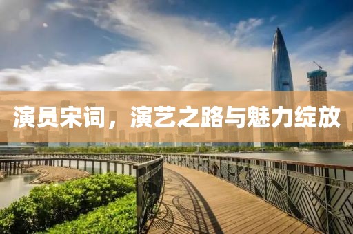 演員宋詞，演藝之路與魅力綻放