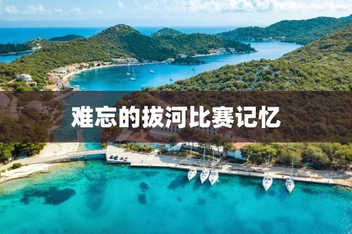 難忘的拔河比賽記憶