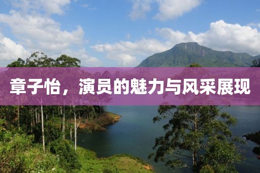 章子怡，演員的魅力與風(fēng)采展現(xiàn)