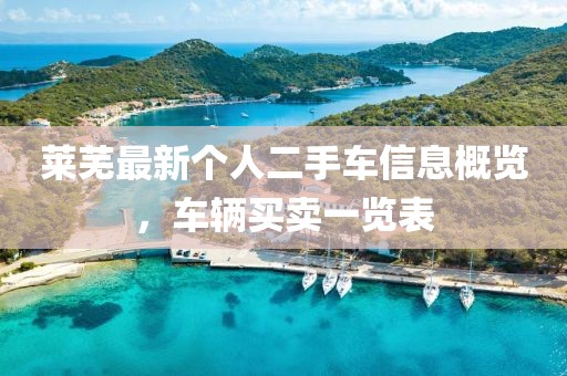 萊蕪最新個人二手車信息概覽，車輛買賣一覽表