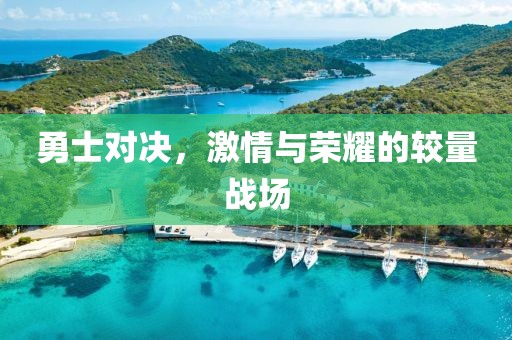 勇士對決，激情與榮耀的較量戰(zhàn)場