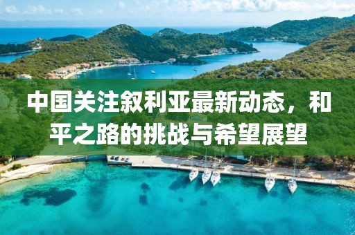 中國關注敘利亞最新動態(tài)，和平之路的挑戰(zhàn)與希望展望