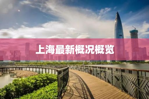 上海最新概況概覽