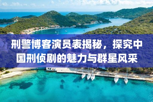 刑警博客演員表揭秘，探究中國(guó)刑偵劇的魅力與群星風(fēng)采