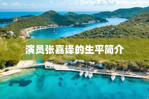 演員張嘉譯的生平簡介