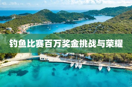 釣魚比賽百萬獎金挑戰(zhàn)與榮耀