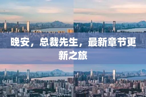晚安，總裁先生，最新章節(jié)更新之旅