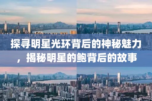 探尋明星光環(huán)背后的神秘魅力，揭秘明星的鮑背后的故事