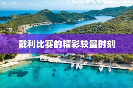戴利比賽的精彩較量時刻