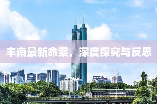 豐南最新命案，深度探究與反思