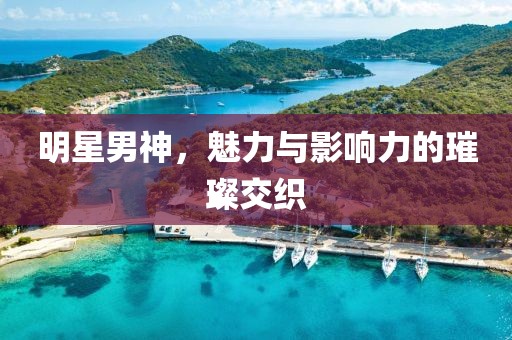 明星男神，魅力與影響力的璀璨交織