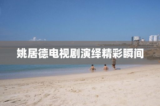 姚居德電視劇演繹精彩瞬間