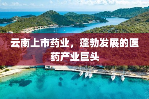 云南上市藥業(yè)，蓬勃發(fā)展的醫(yī)藥產(chǎn)業(yè)巨頭