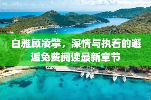 白雅顧凌擎，深情與執(zhí)著的邂逅免費(fèi)閱讀最新章節(jié)