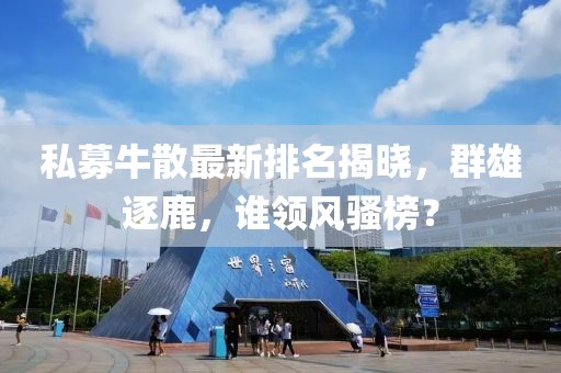 私募牛散最新排名揭曉，群雄逐鹿，誰(shuí)領(lǐng)風(fēng)騷榜？