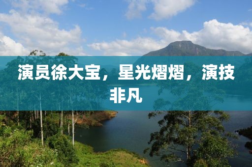 演員徐大寶，星光熠熠，演技非凡