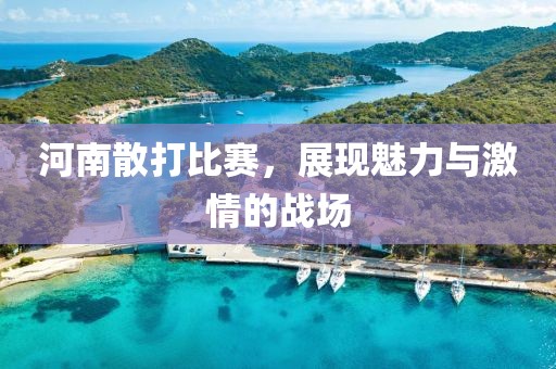 河南散打比賽，展現(xiàn)魅力與激情的戰(zhàn)場