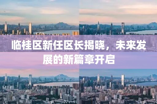 臨桂區(qū)新任區(qū)長揭曉，未來發(fā)展的新篇章開啟