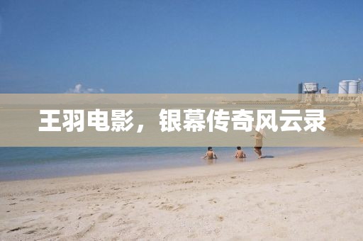 王羽電影，銀幕傳奇風(fēng)云錄