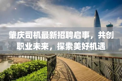 肇慶司機(jī)最新招聘啟事，共創(chuàng)職業(yè)未來，探索美好機(jī)遇