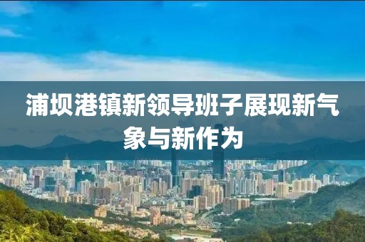 浦壩港鎮(zhèn)新領導班子展現(xiàn)新氣象與新作為