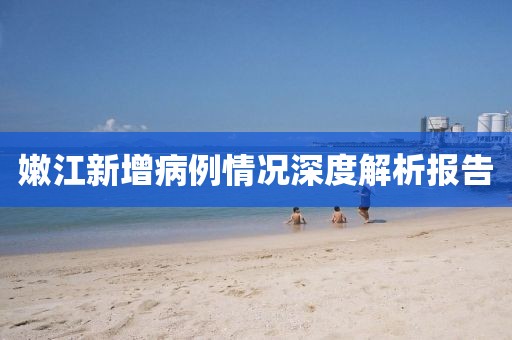 嫩江新增病例情況深度解析報告