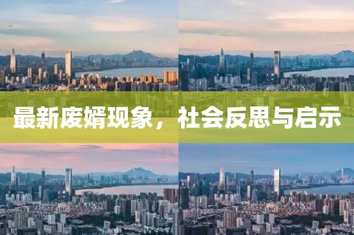 最新廢婿現(xiàn)象，社會反思與啟示