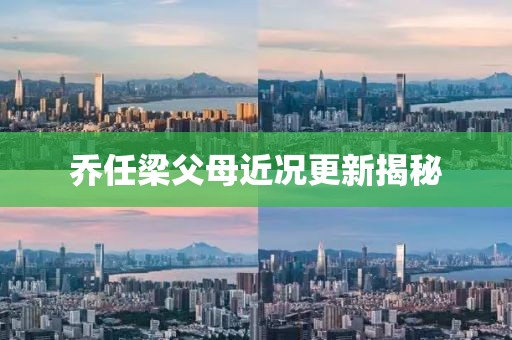 以往的留戀 第28頁