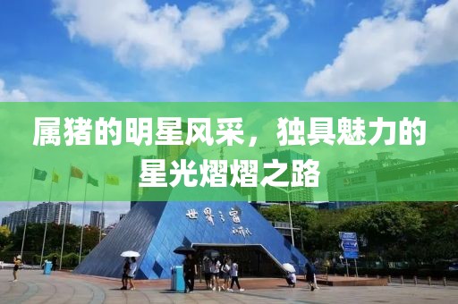 屬豬的明星風(fēng)采，獨(dú)具魅力的星光熠熠之路