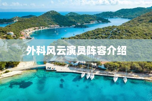 外科風(fēng)云演員陣容介紹