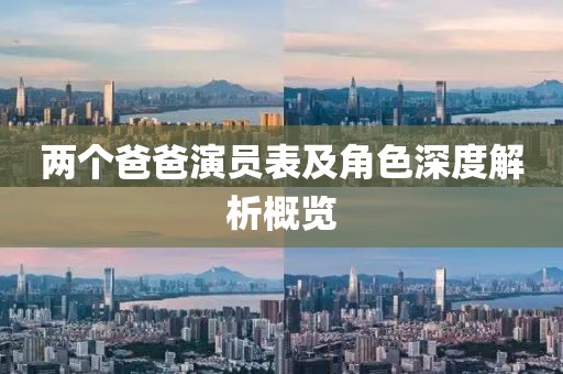 兩個爸爸演員表及角色深度解析概覽