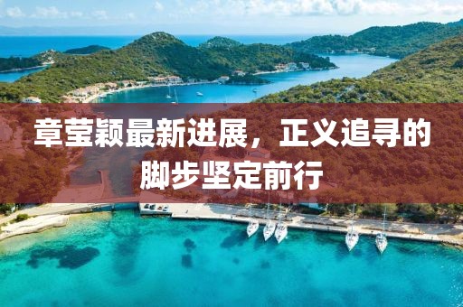 章瑩穎最新進展，正義追尋的腳步堅定前行